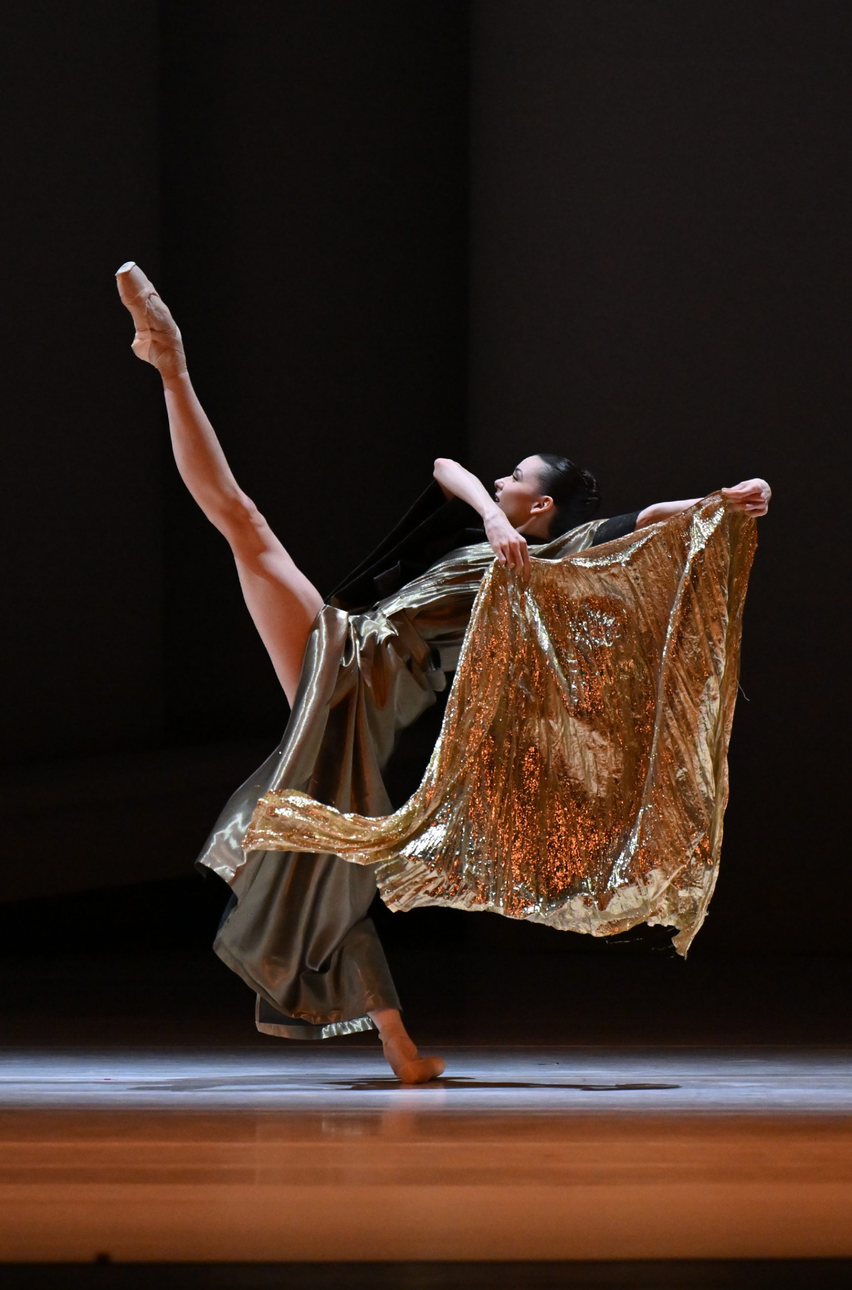 LesBalletsDeMonteCarlo2026 5